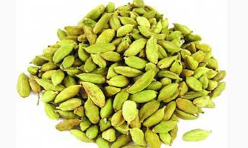 Cardamom